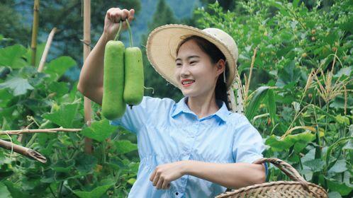 阿博在吃瓜,揭秘娱乐圈幕后故事