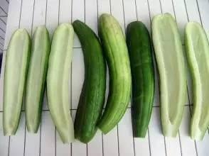 深圳婷酱吃瓜,深圳婷酱带你吃遍瓜界风云