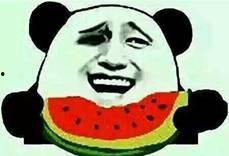 吃瓜的主旋律,跟随吃瓜主旋律，畅游欢乐美食世界