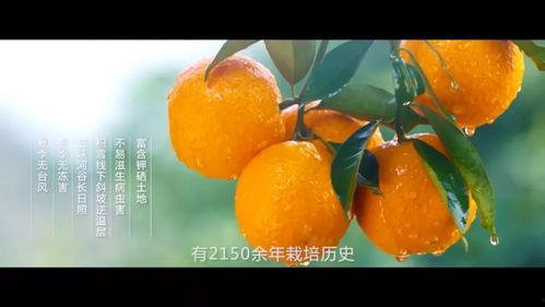 奉节吃瓜视频,揭秘当地特色美食与风土人情