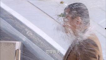 吃瓜大壮,揭秘娱乐圈背后的那些事儿