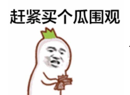 吃瓜群众吐舌害羞,揭秘网络热词背后的趣味与情感