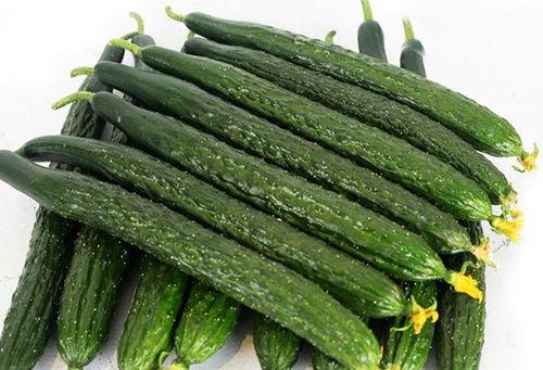 吃田瓜和少瓜有什么区别,口感与营养的微妙差异