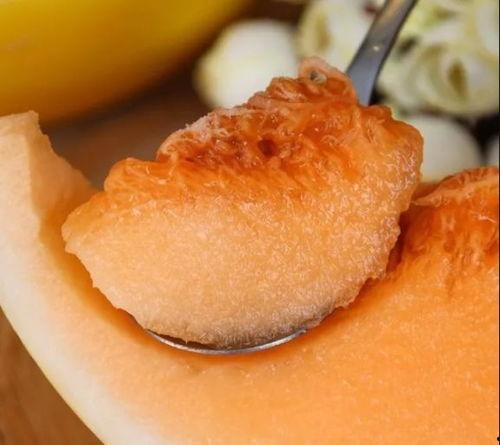 黄金蜜瓜孕妇可以吃,黄金蜜瓜，营养与口感的完美结合