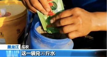 吃瓜吃到催熟剂,吃瓜也能吃出健康隐患