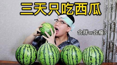 减肥可以吃瓜啊,瓜类食品的减肥秘诀