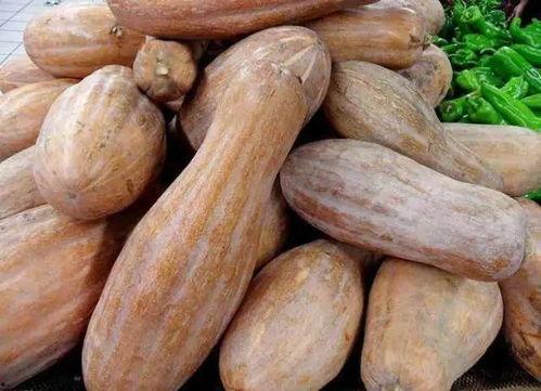 来呀吃瓜的视频,揭秘热门视频背后的故事与真相