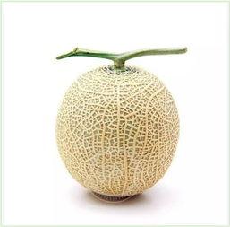 吃瓜群众奖杯,网络热词背后的文化现象