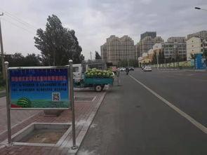 吃瓜乌海,一场视觉与味蕾的双重盛宴