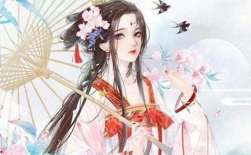 郑吒吃瓜小说,揭秘娱乐圈背后的秘密与真相