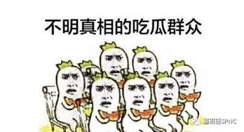 吃瓜群众入境了吗,揭秘其神秘身影